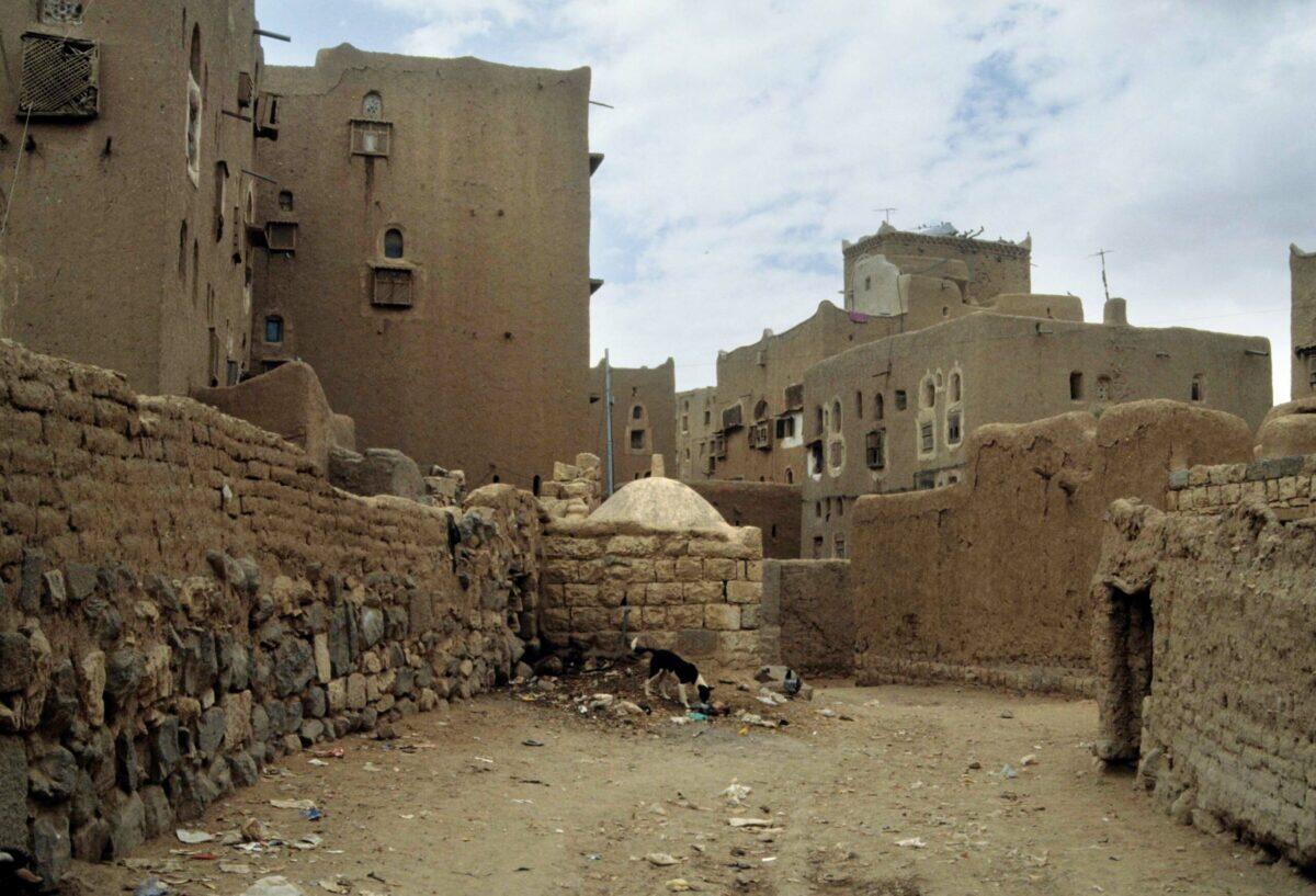 53 VITTIME NEL BOMBARDAMENTO AEREO IN YEMEN | La verità dietro le accuse di crimine di guerra delle autorità yemenite! -