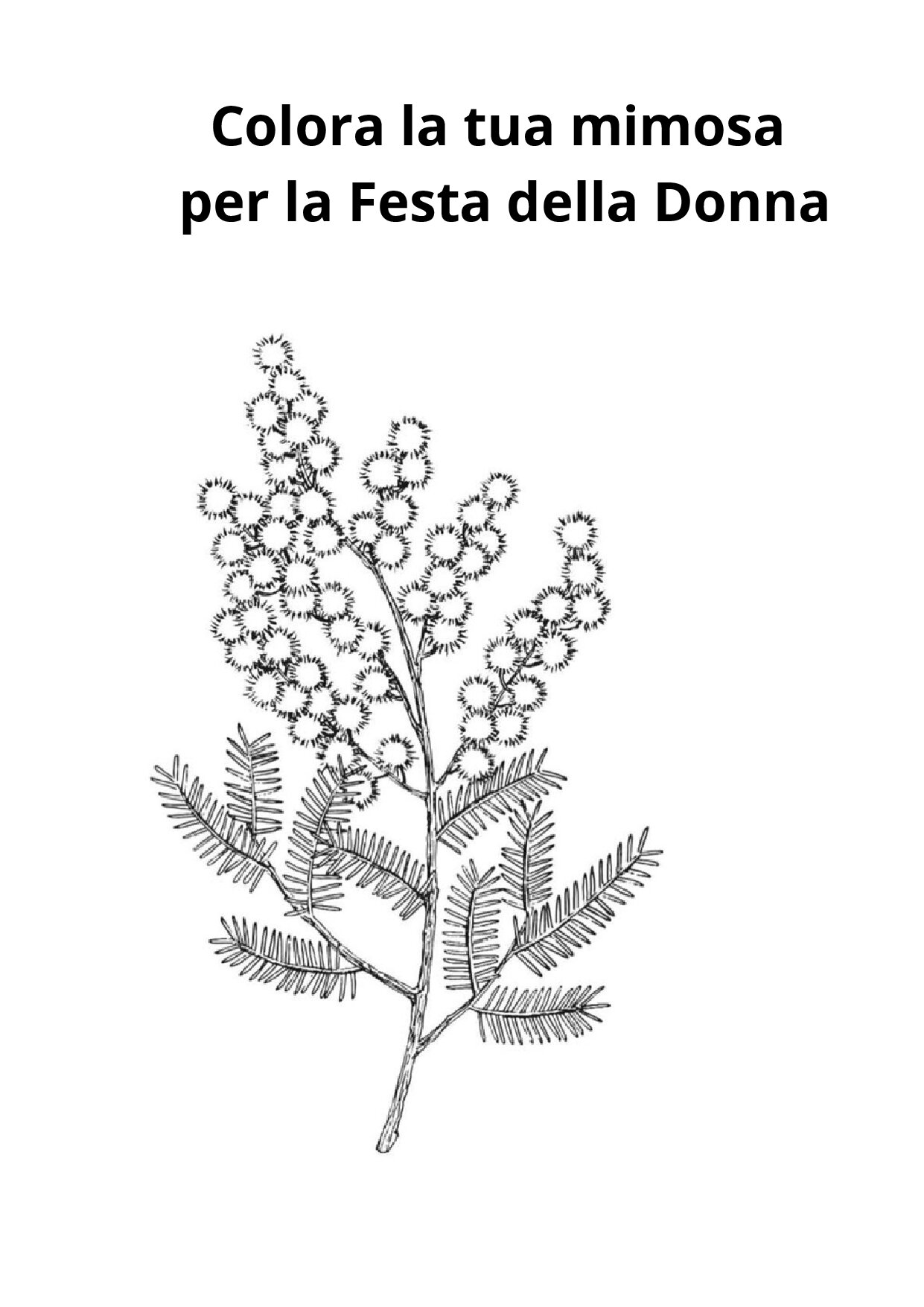 Parole allo specchio (27) [363 KB]