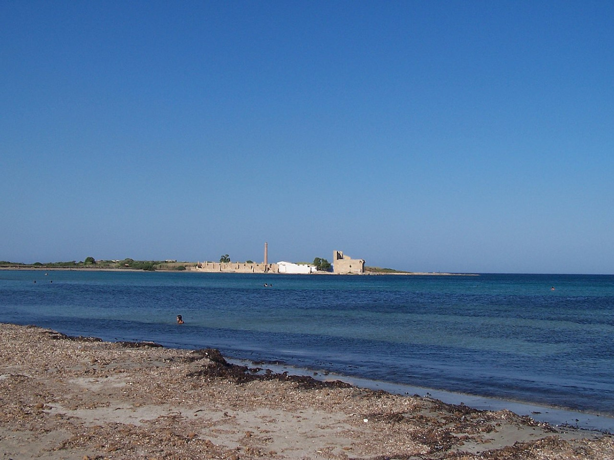 Un angolo di Sicilia che sta sorprendendo tutti | L’Oasi faunistica che sta rivelando segreti naturali incredibili - Foto: Davide Mauro/Wikipedia