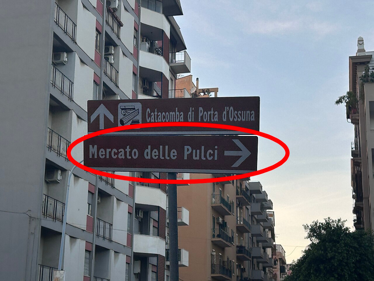 Oggetti assurdi, storie incredibili | Il lato nascosto del mercato più famoso di Palermo - Foto: SonoGrazy/Wikipedia