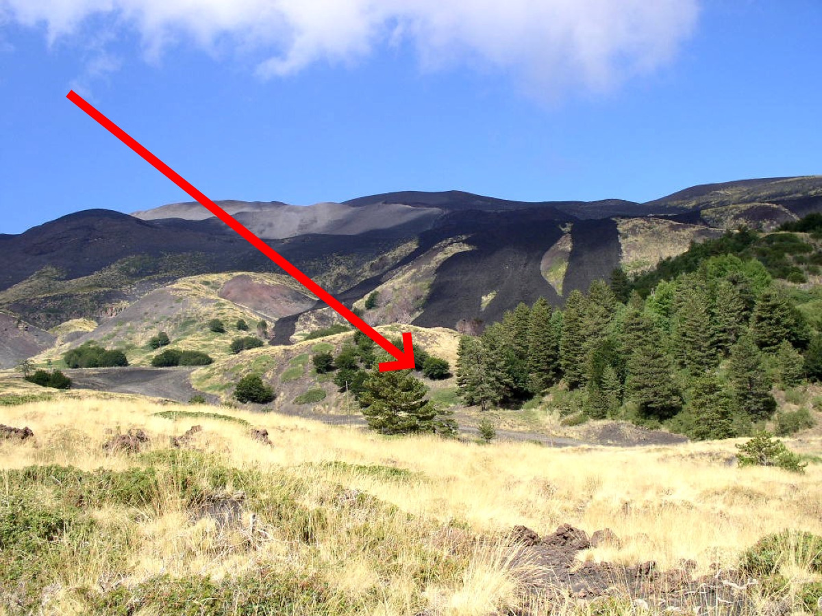 Sta cambiando tutto e nessuno se ne accorge | Nel Parco dell’Etna sta succedendo l'inverosimile - Foto: al innaì (Al Ianni) - Flickr
