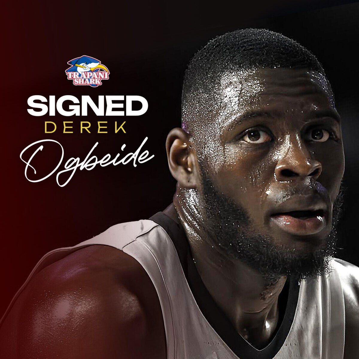 Derek Ogbeide alla Trapani Shark | La mossa che potrebbe rivoluzionare i Playoff! -