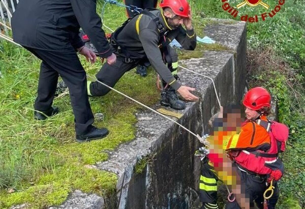 Un passante salva una bimba in pericolo | La verità sull'incidente che ha colpito Schio! -