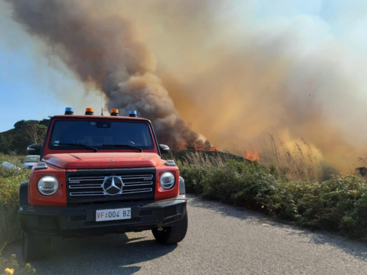 Incendi boschivi in aumento | Il Comune di Messina alza le sanzioni per tutelare la sicurezza dei cittadini! -