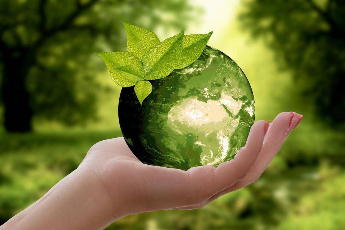 Storie di ambientalismo, al via Italia green film festival - 