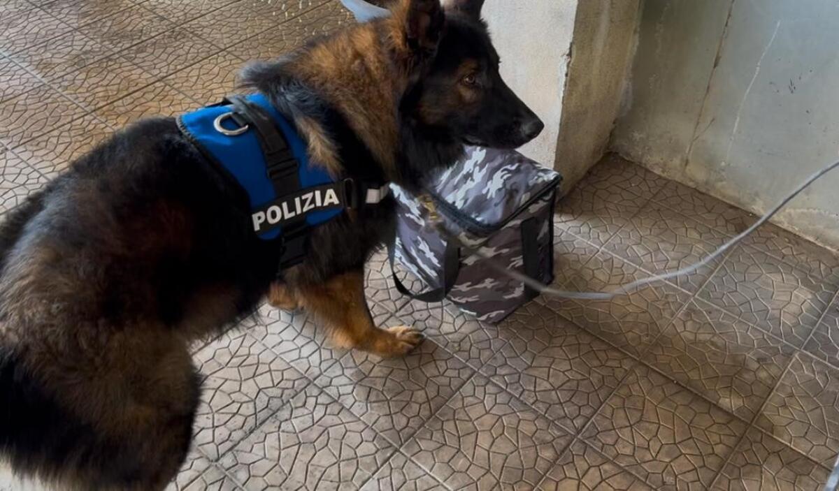 Polizia di Catania ferma un 52enne con 700 grammi di droga | Scopri cosa nascondeva davvero nella sua cantina! -