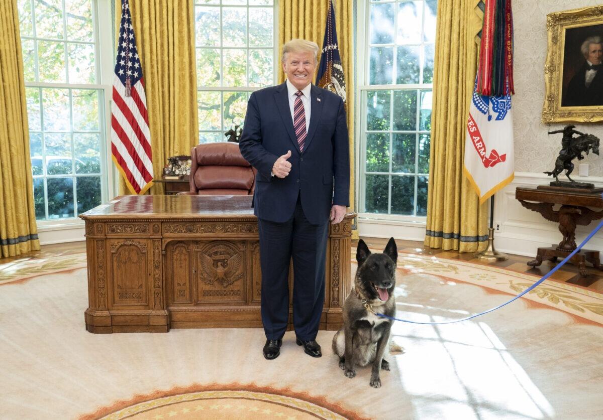 Trump è in ottima salute e vince a golf | Ma davvero possiamo fidarci delle sue condizioni? - 