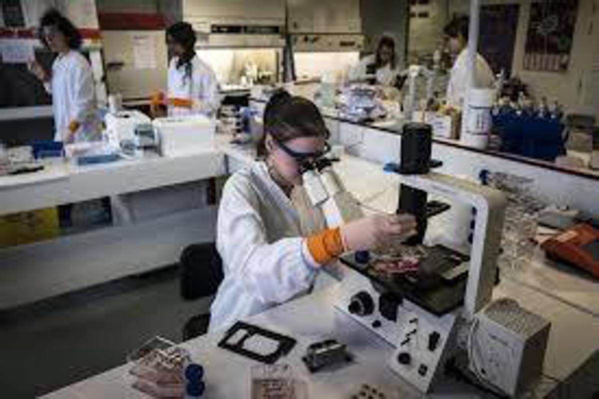 Tumori della testa e collo, studio 'con pembrolizumab -27% rischio recidiva o morte' - 