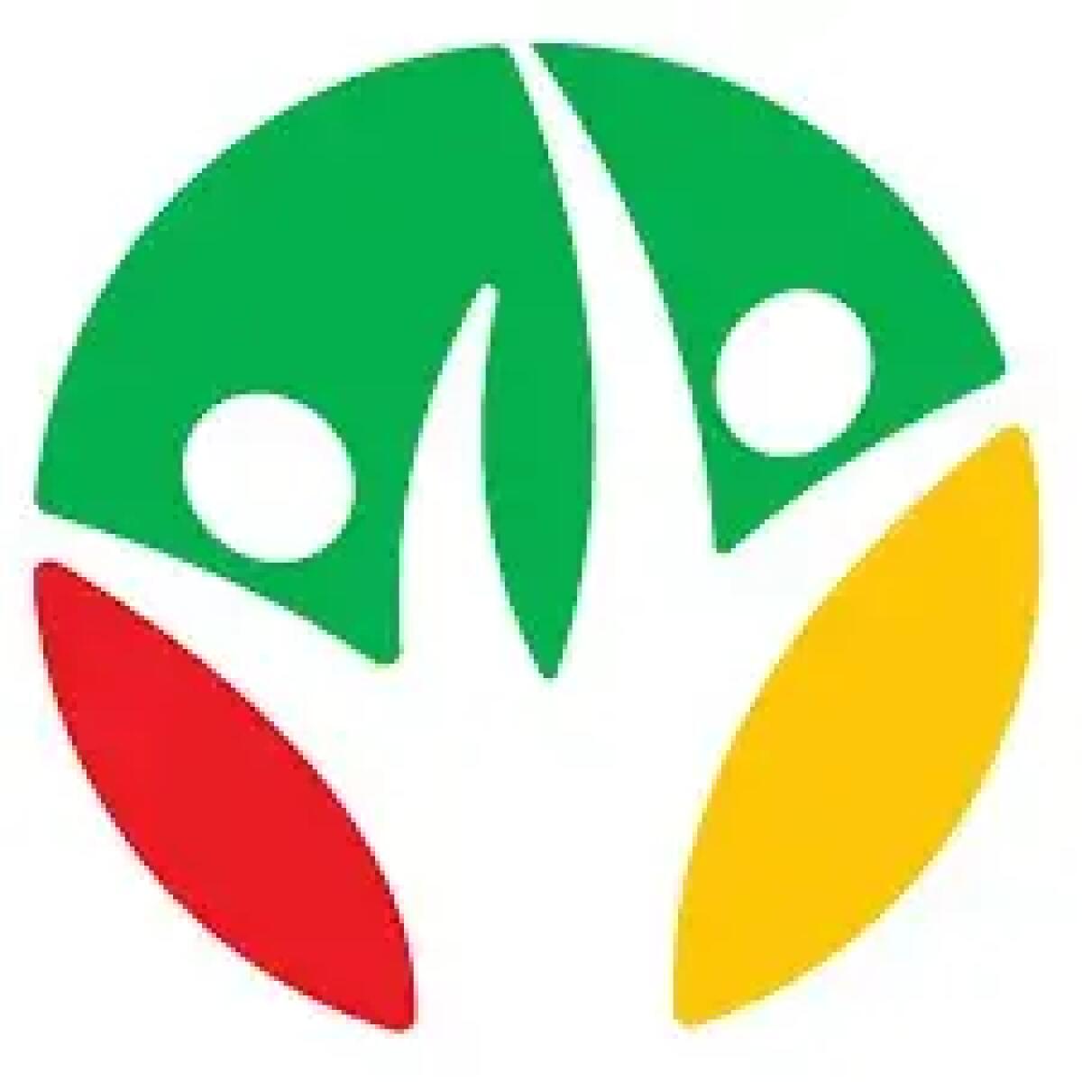 Comune di Messina: Scopri il Nuovo Incubo delle Candidature per il Ruolo di Direttore Generale! -