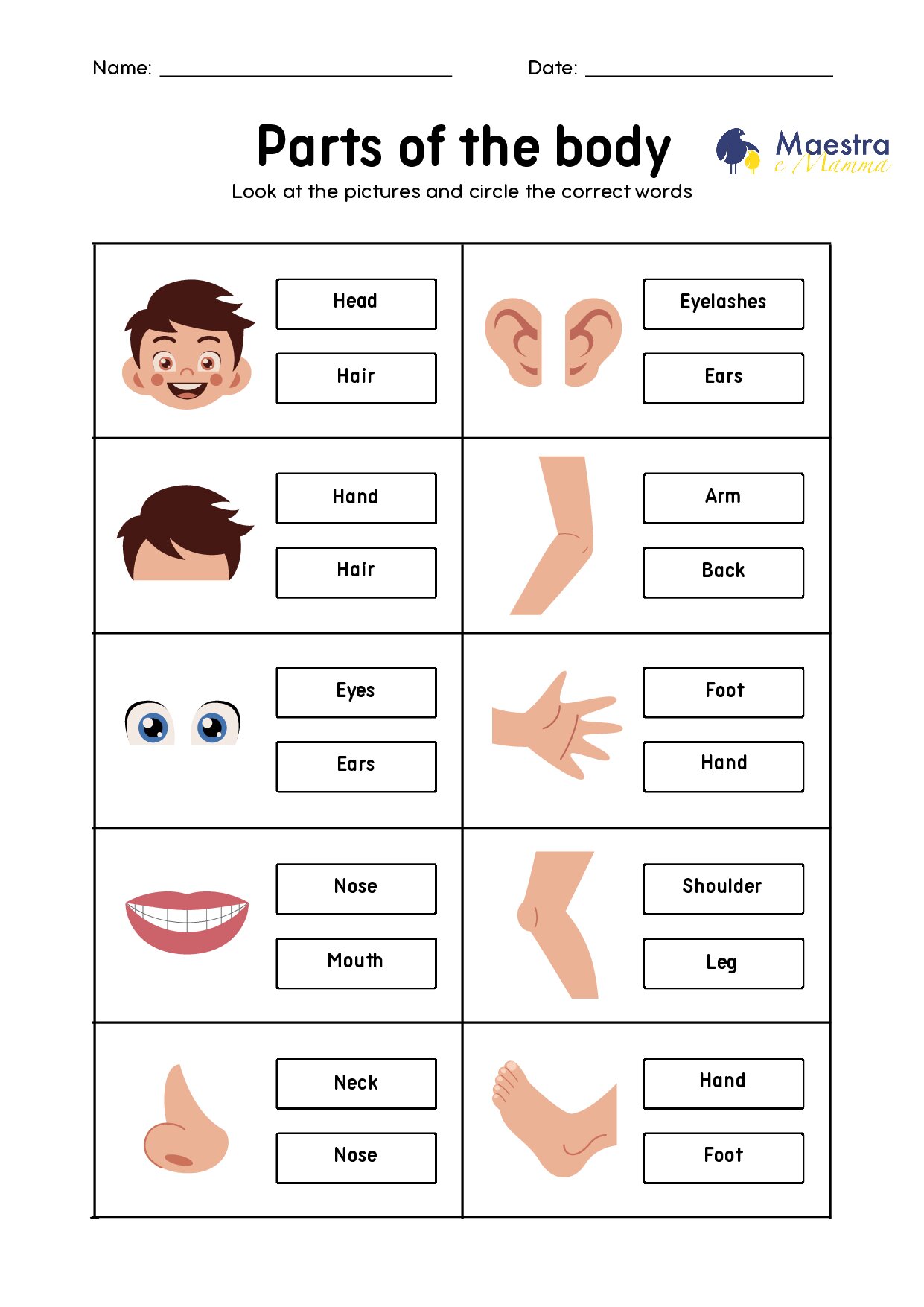 Parti del corpo scheda di inglese [71 KB]