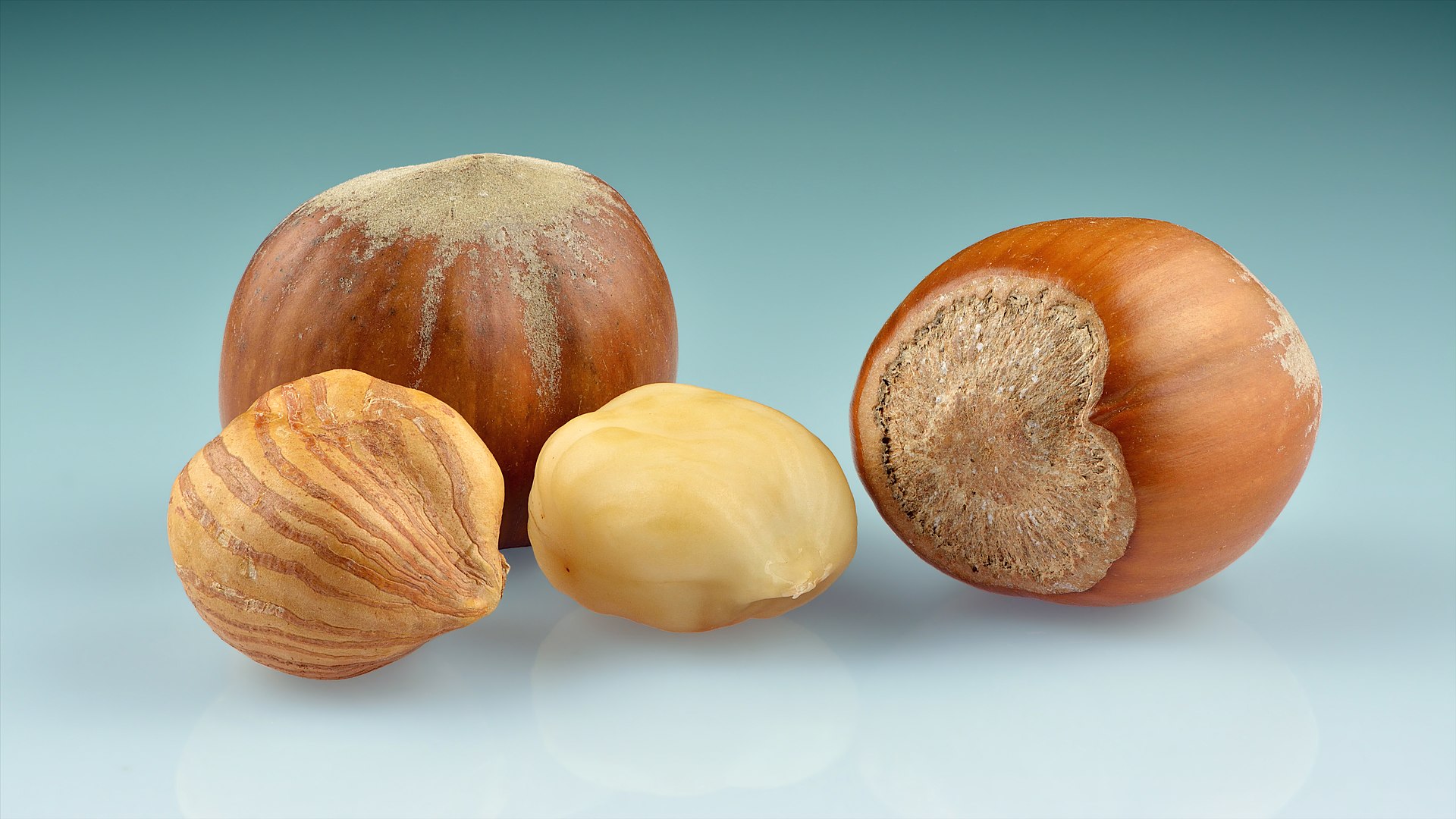 Nocciola
