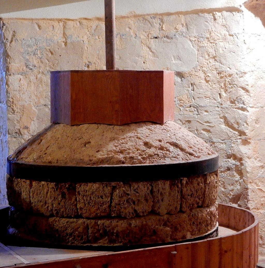 Museo del sale