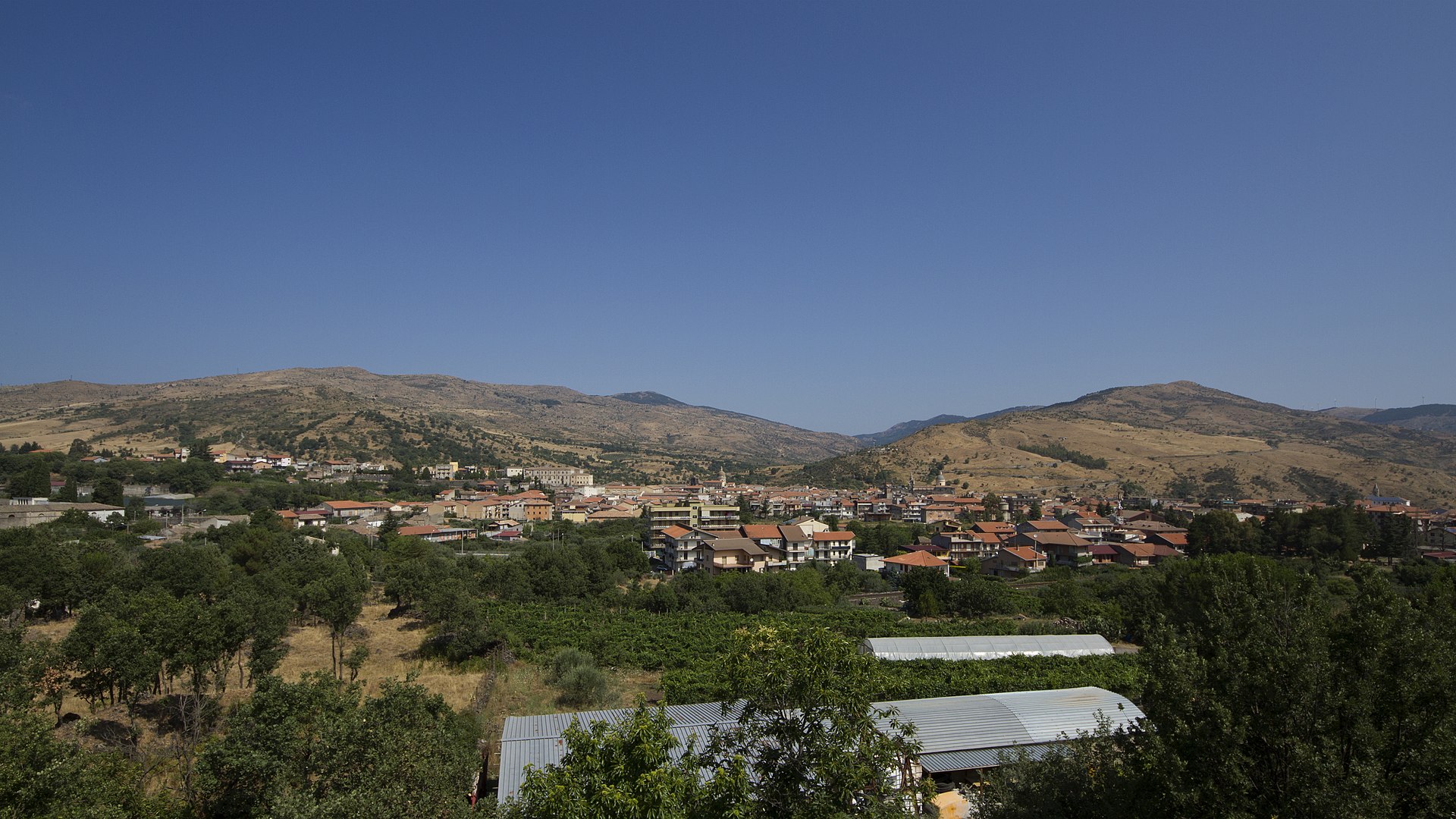 Randazzo