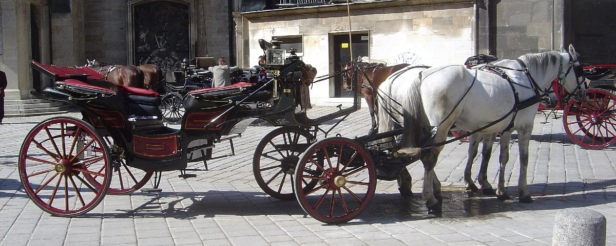 La verità nascosta dietro le carrozze dei nobili | Cosa non ti hanno mai raccontato su Palermo - Foto: David Monniaux/Wikipedia