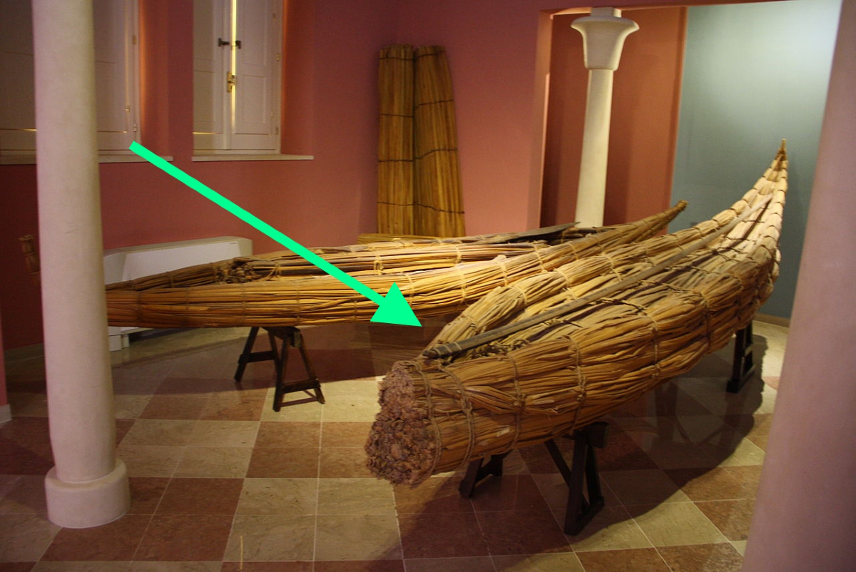 Tutti lo hanno sentito nominare, ma pochi sanno cosa si nasconde qui | Il Museo del papiro a Siracusa svela qualcosa che ti lascerà senza parole - Foto: Giovanni Dall'Orto/Wikipedia