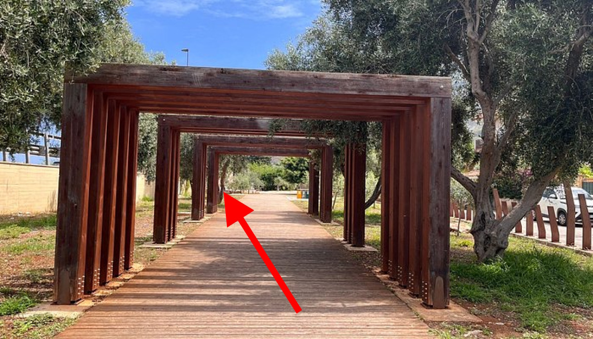 Dopo anni di silenzio, una nuova verità emerge | Il Giardino della Memoria di Capaci svela un mistero assurdo - Foto: Trip Advisor