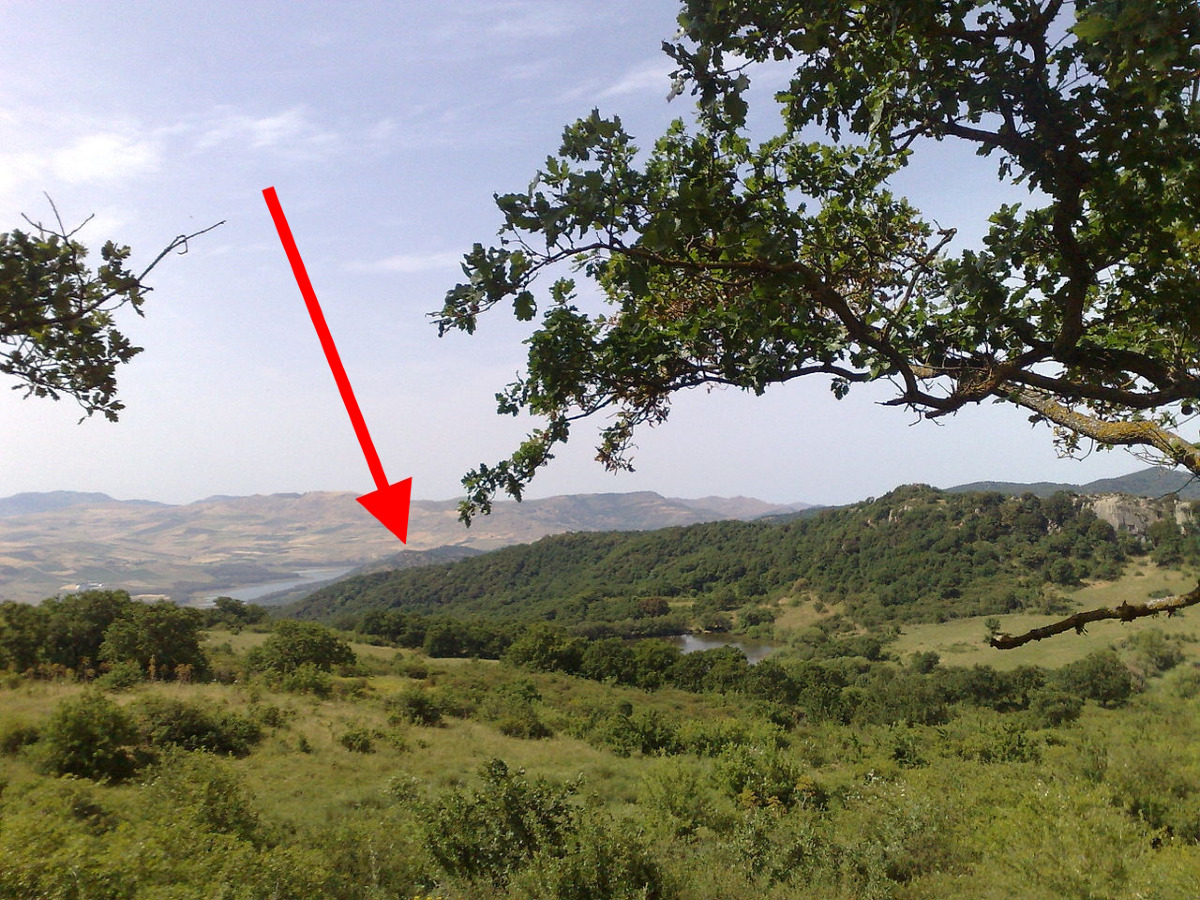 Scovato un "tesoro verde" in Sicilia | Il luogo che sta affascinando storici e curiosi - Foto: Dedda71/Wikipedia