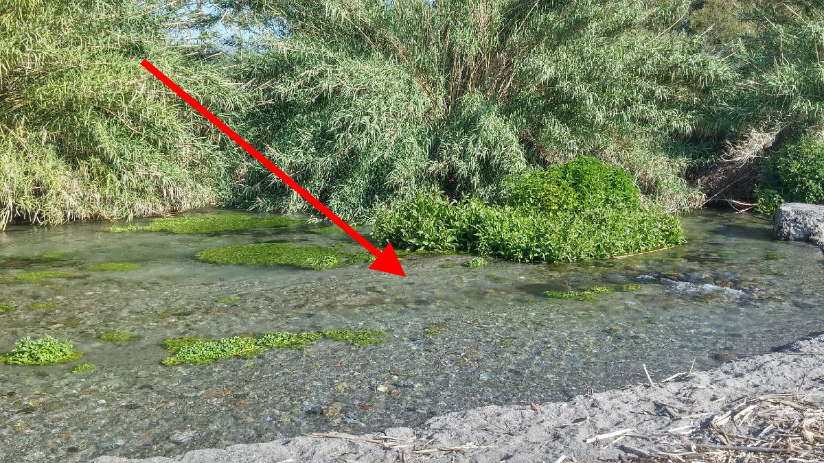 Questo paradiso nascosto incanta chi lo scopre | L’Oasi siciliana dove l’acqua sfida ogni legge naturale -