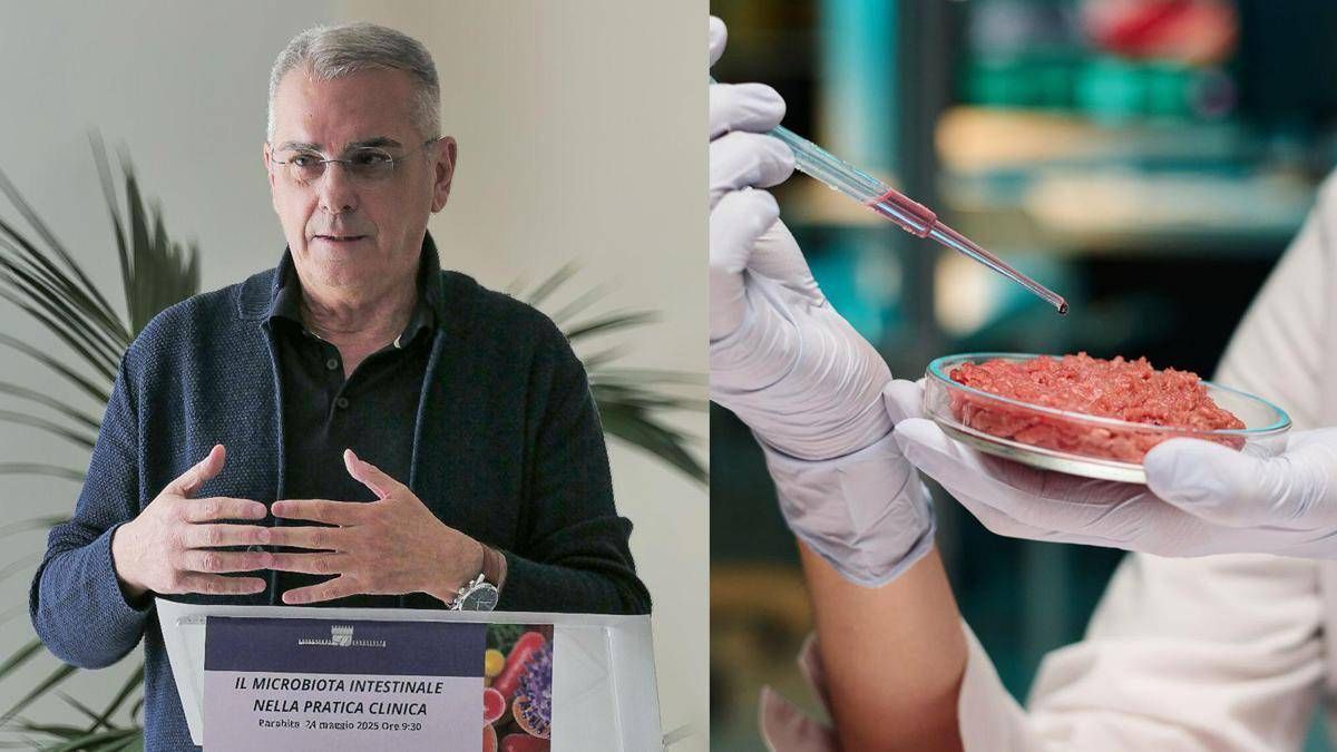 Hamburger Day, meglio naturale o sintetico? Risponde il medico-nutrizionista - 