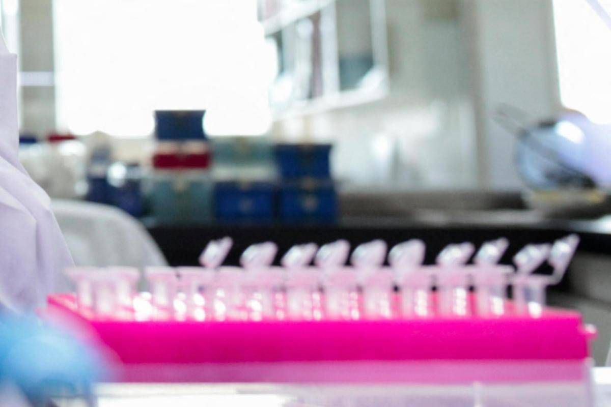 Tumori, nel Dna spazzatura molecole alleate: lo studio Italia-Usa - 