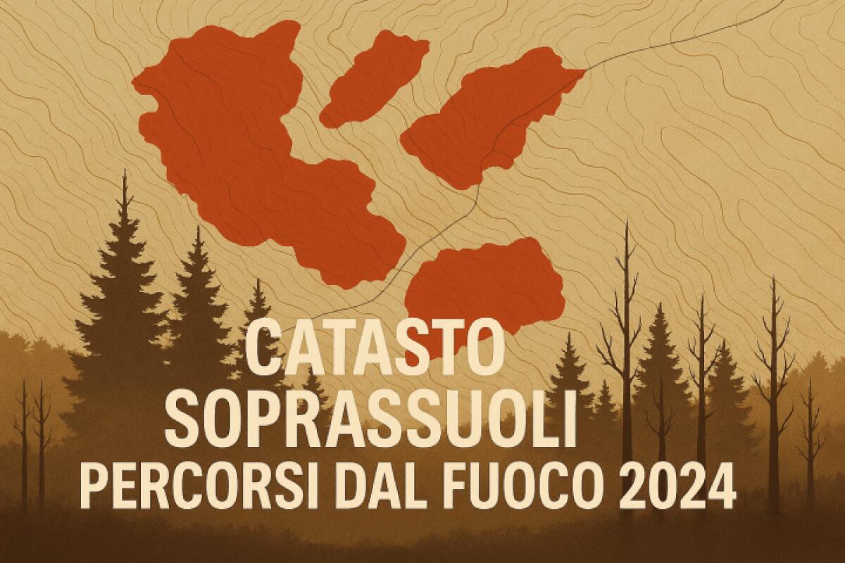 Incendi boschivi 2024 | Scopri come il Comune di Messina affronta l'emergenza e quali diritti hai! -