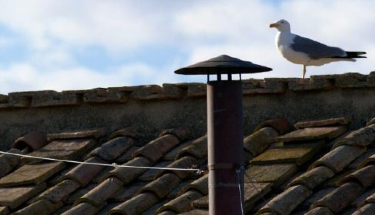 Fumata Nera in Ritardo | I Segreti di un Conclave Mai Visti Prima! - 