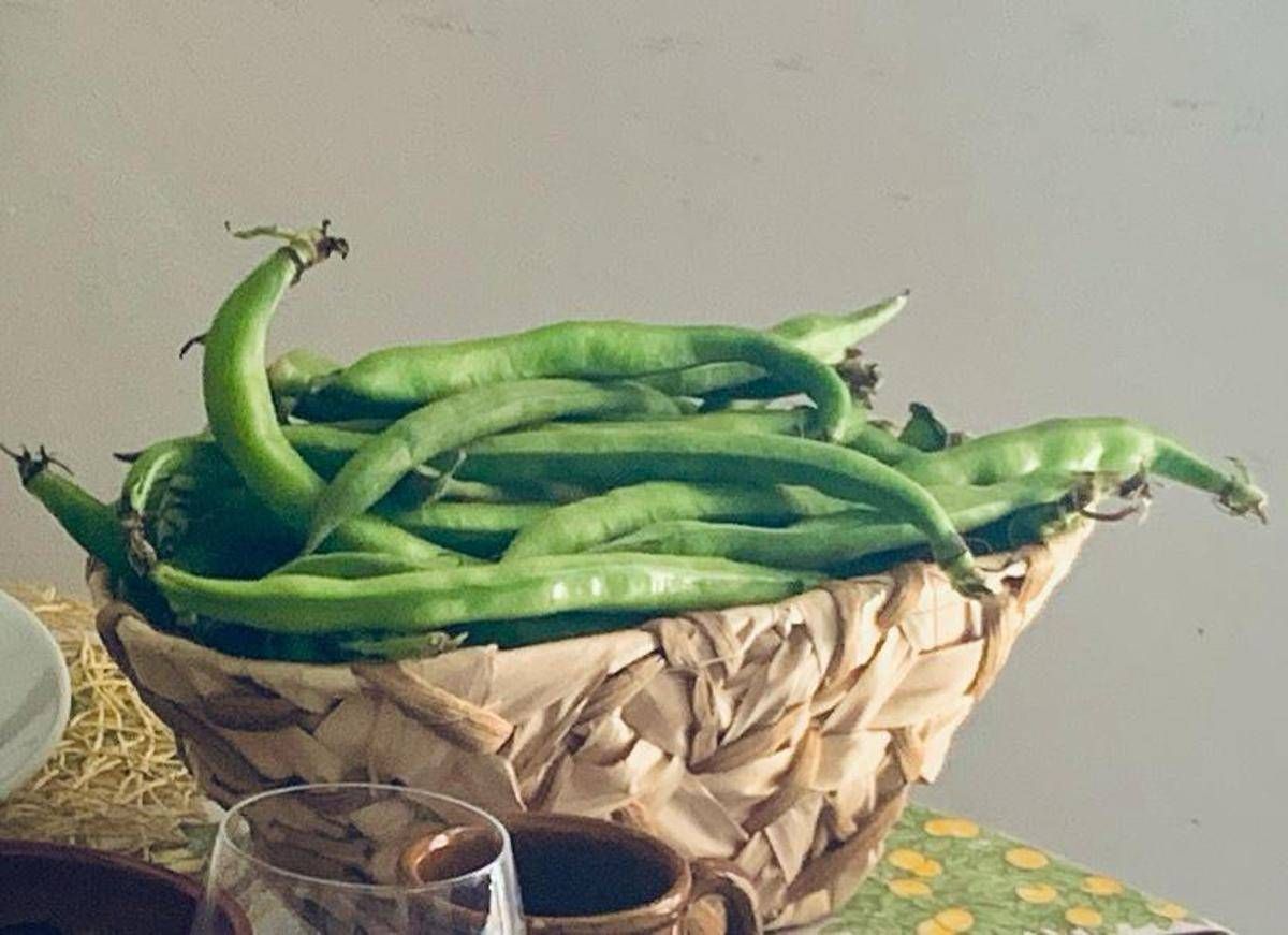 1 maggio, fave e pecorino alla scampagnata? Mix ideale per la salute: ecco perché - 