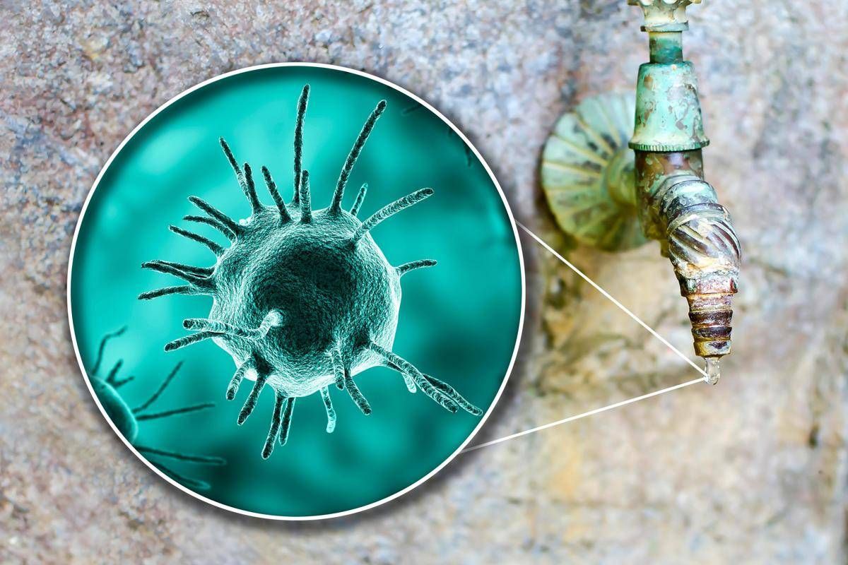 Malattie rare, Sitrac: "Non accessibile farmaco approvato in cheratite da Acanthamoeba" - 
