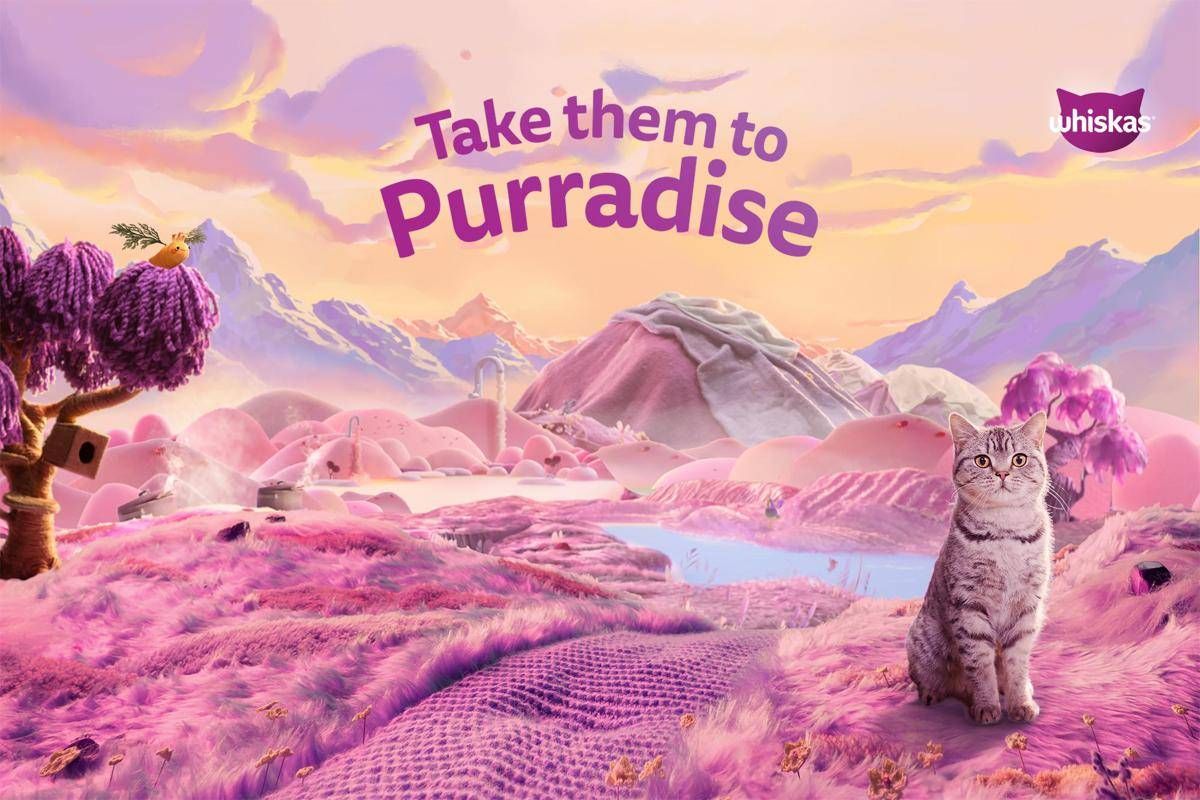 Animali, Whiskas: un test per scoprire la personalità del proprio gatto - 