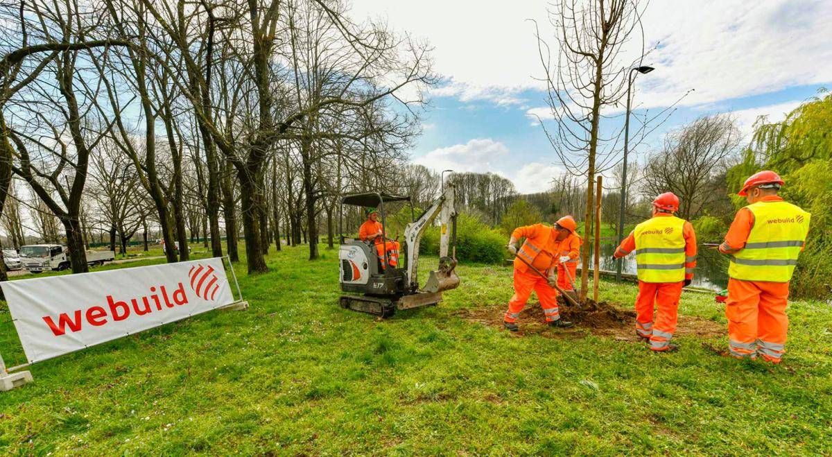 A Milano oltre 730 alberi messi a dimora nei parchi colpiti dal nubifragio del 2023 -