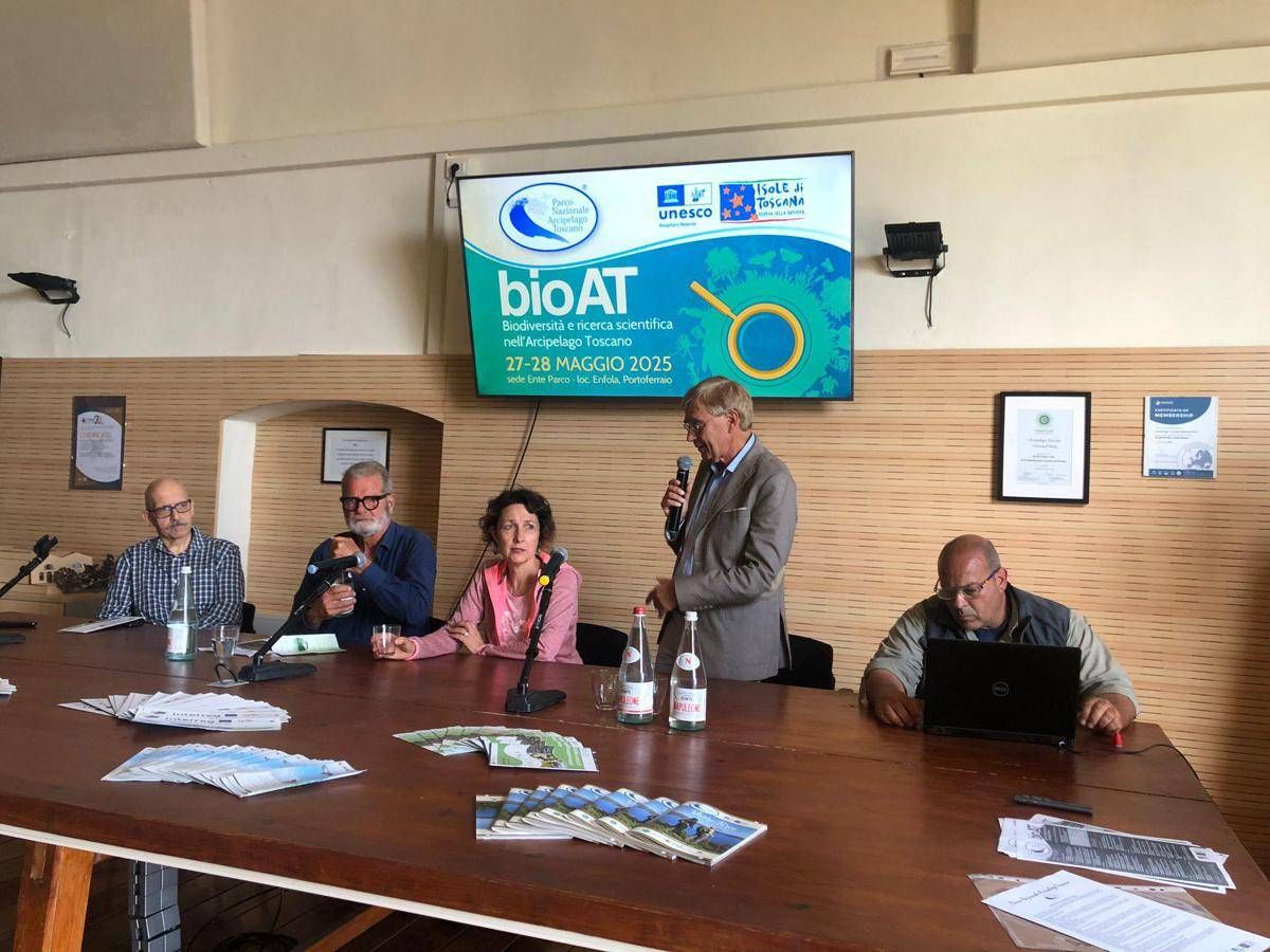 Animali: Fondazione UNA-Federparchi, torna il Barbagianni a Pianosa - 