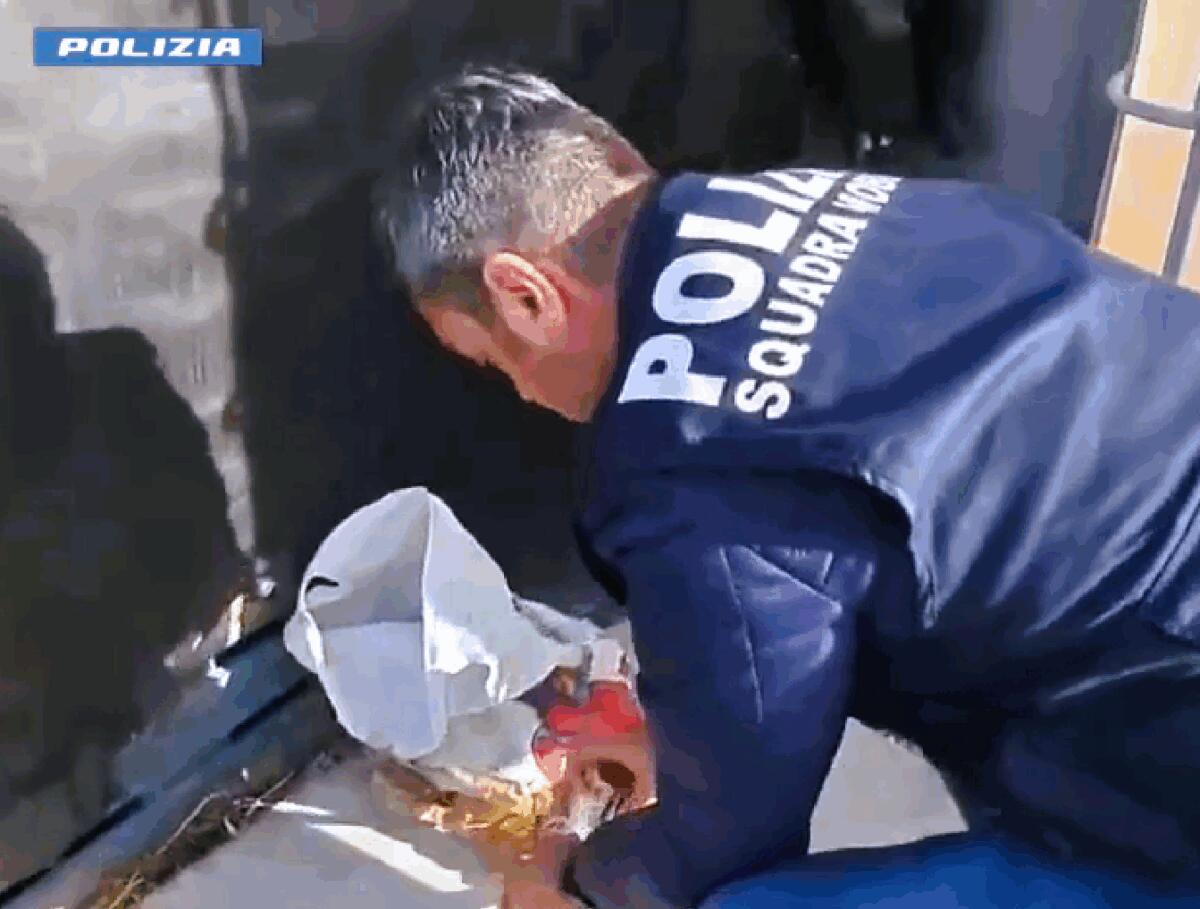 Scoperta incredibile a Caltanissetta | La polizia svela un giro di droga e armi insospettabile! -