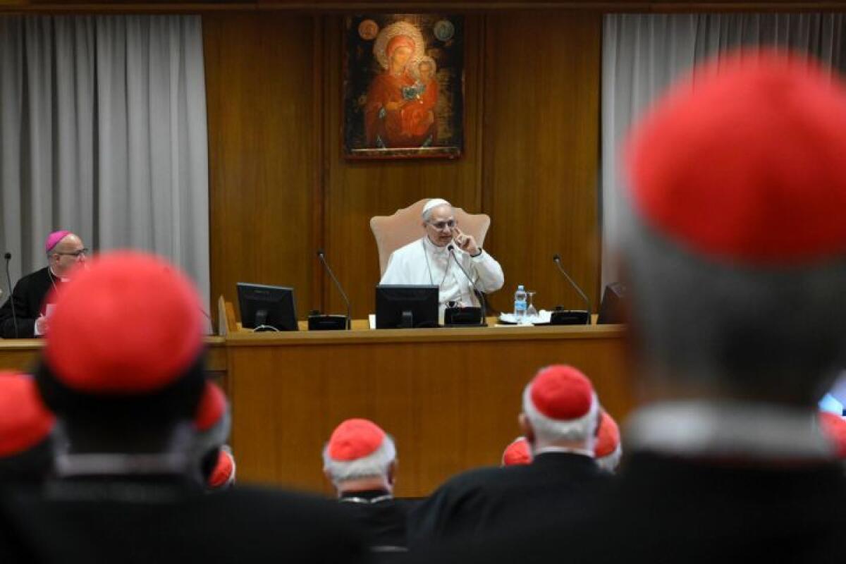 Leone XIV lancia un appello sorprendente ai cardinali | La vera eredità di Francesco svelata - 