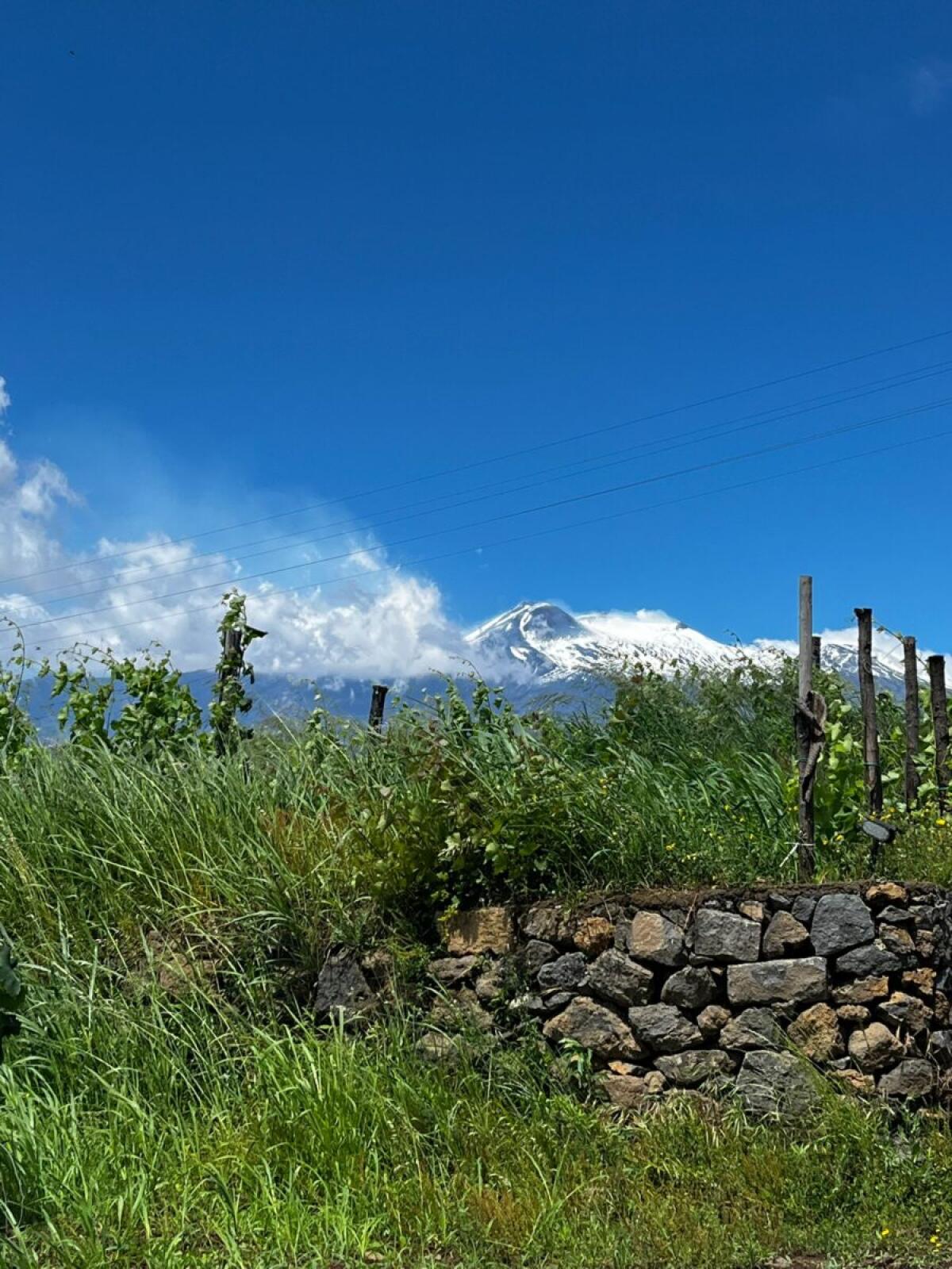 Scopri il Vinobus Etna Wine Bus | Il modo rivoluzionario di esplorare l'Etna ti lascerà senza parole! -