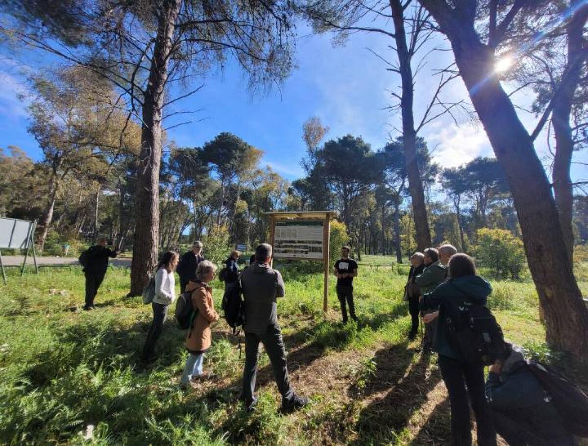 Studenti di Palermo Rivelano Segreti Sconvolgenti sulla Gestione Forestale | Scopri perché i Forestali possono salvare il nostro Pianeta! -