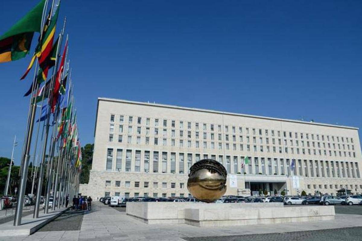 Usa, Farnesina: "Italiana morta 1 maggio in incidente a Yellowstone, altre 6 vittime" - 