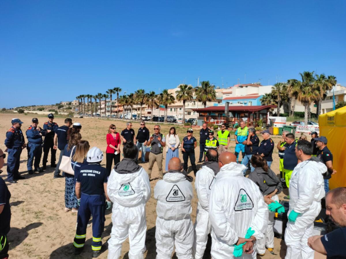 Messina in prima linea nella sfida "BARRACUDA 2025" | Scopri perché la tutela ambientale è più cruciale che mai! -