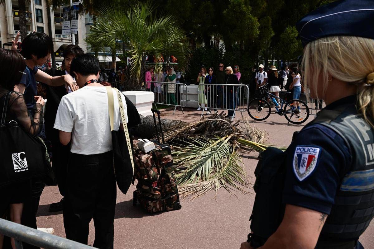 Cannes, palma travolge spettatore del festival sulla Croisette: l'uomo è in gravi condizioni - 