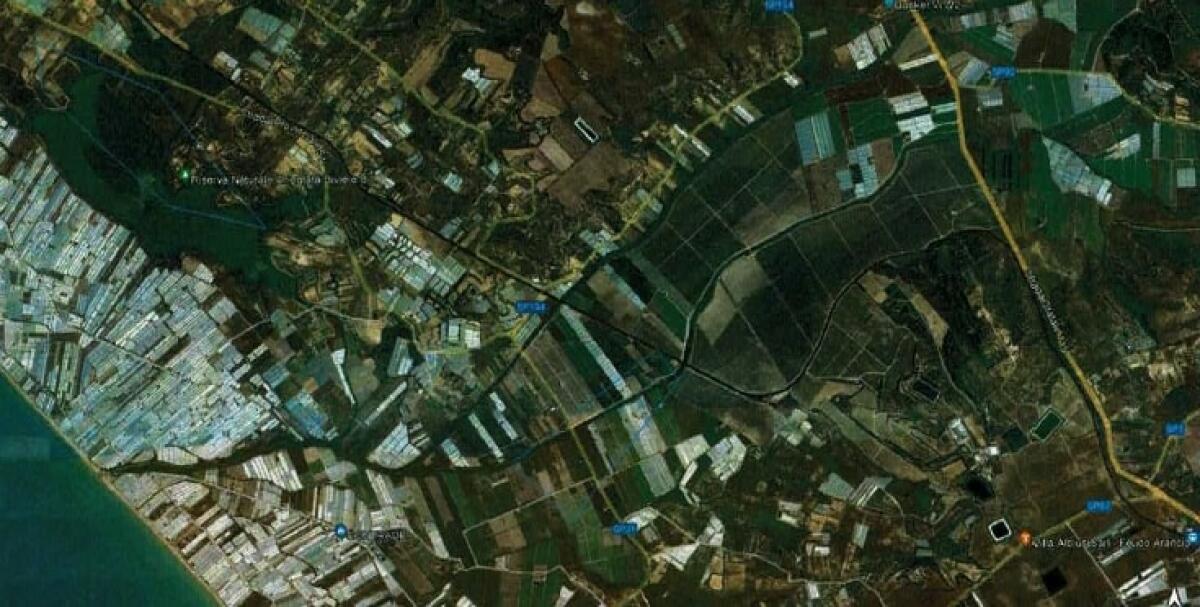 Bonifica dalle plastiche in Regione Siciliana | Scopri perché questo progetto cambierà il futuro dei nostri fiumi! -