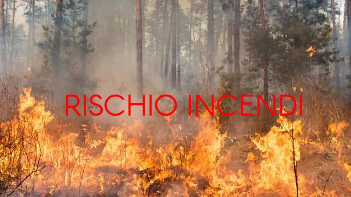 Palermo in Allerta per gli Incendi | Scopri perché è il momento di agire! - 