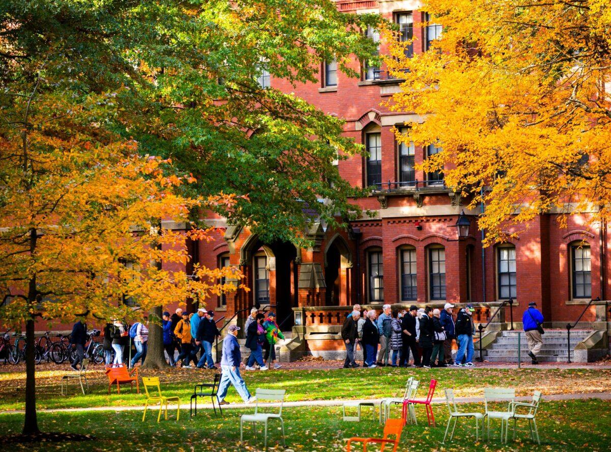 Trump colpisce Harvard | Gli studenti stranieri ora a rischio di espulsione! - 
