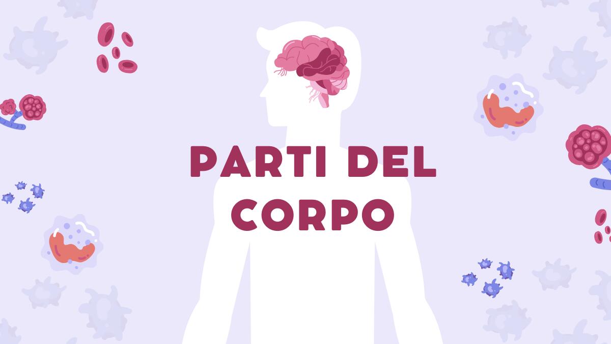 Scheda didattica per bambini: parti del corpo - 