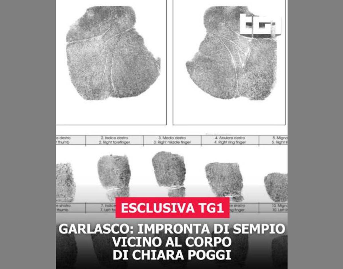 Garlasco, Tg1: "Impronta di Sempio vicino al corpo di Chiara Poggi" - 