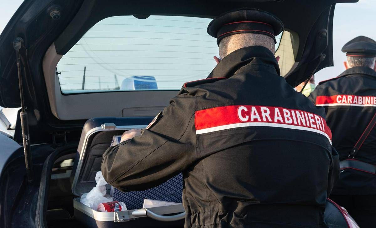 Donna travolta e uccisa da una ruspa in spiaggia a Cervia, l'autista è risultato positivo alla cocaina - 