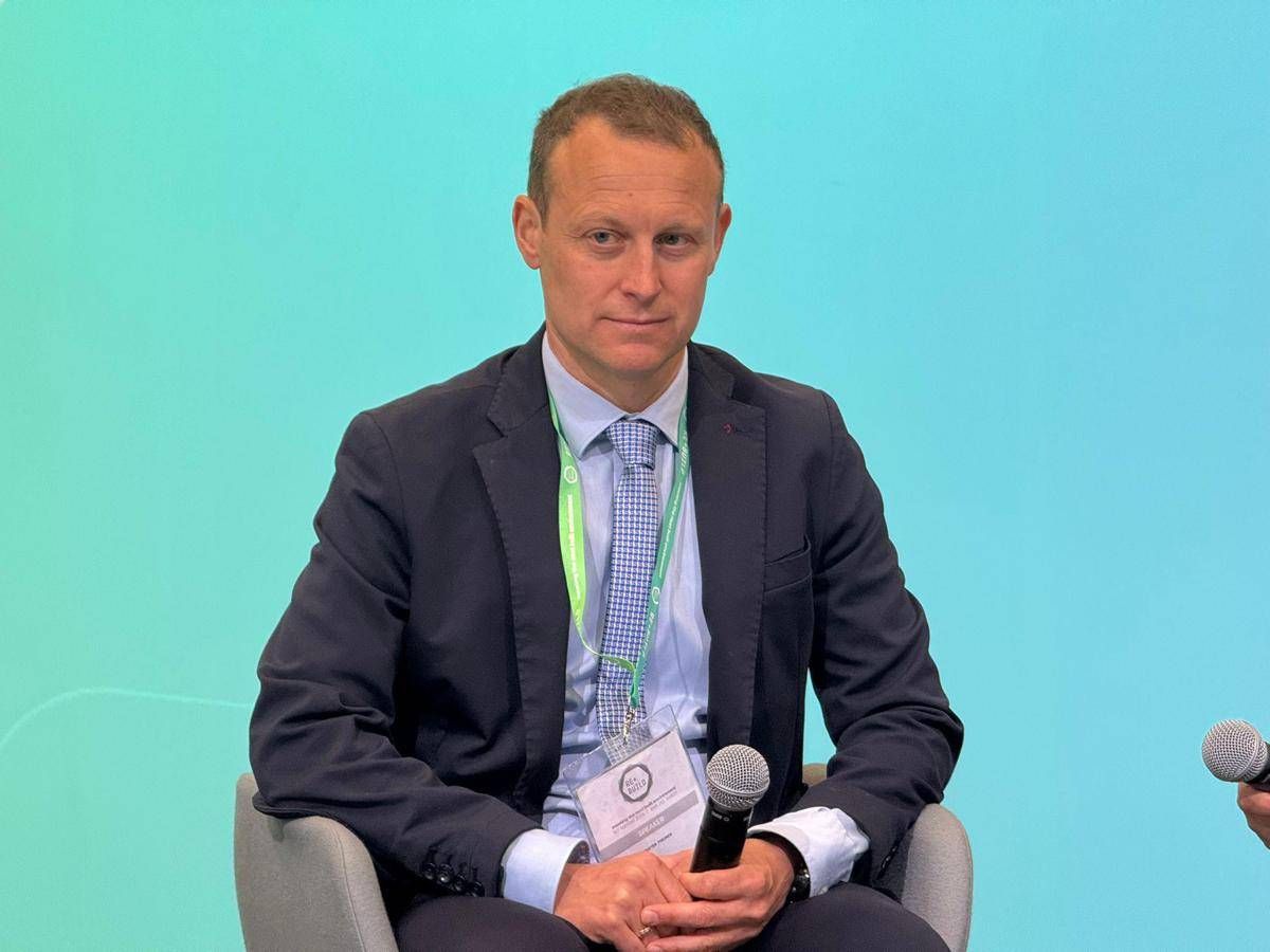 Theiner (Alperia): "Per mettere a terra transizione energetica agire localmente" - 
