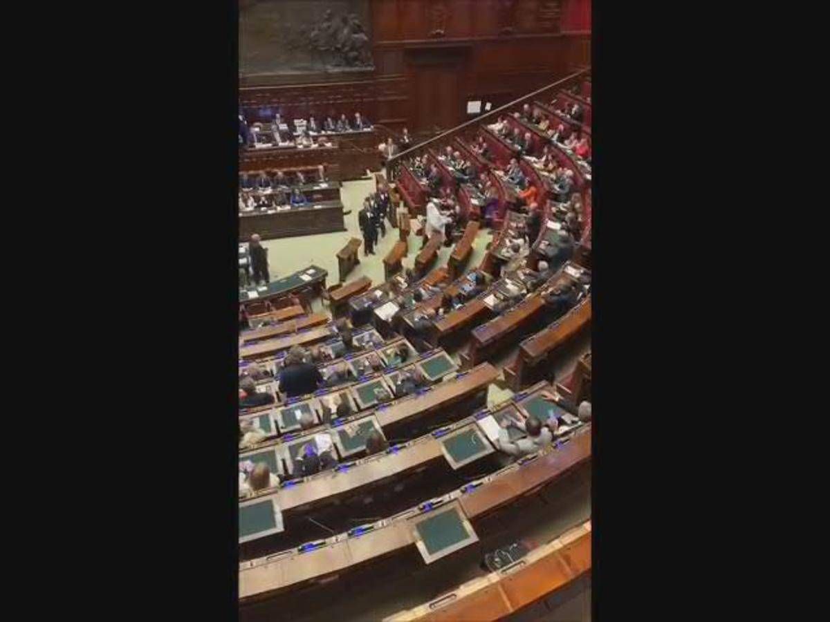 Magi alla Camera vestito da fantasma, segretario +Europa espulso e portato via di peso - Video -