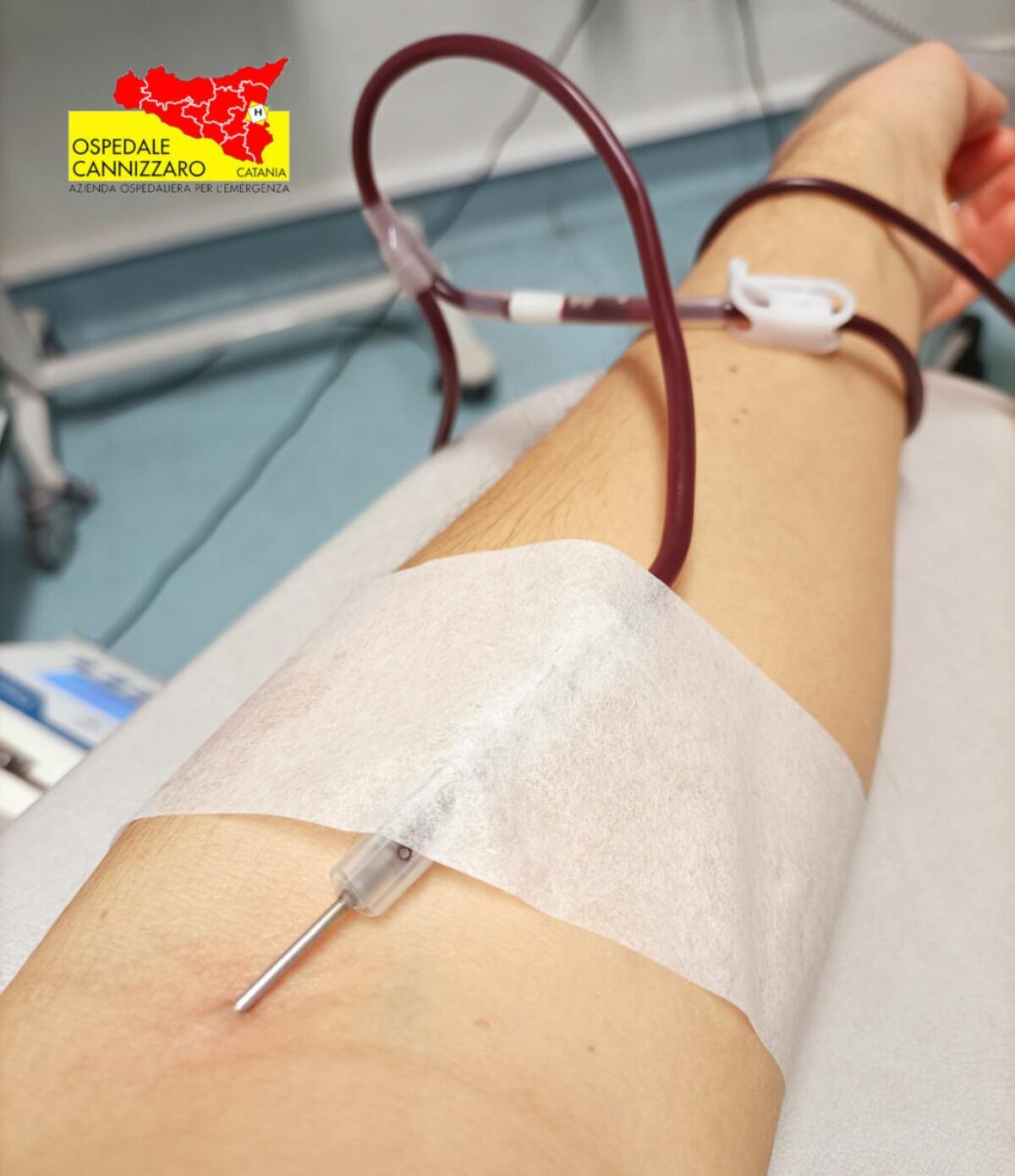 Ospedale Cannizzaro di Catania lancia iniziativa unica | Scopri come la mafia ha ispirato un gesto di solidarietà senza precedenti! -