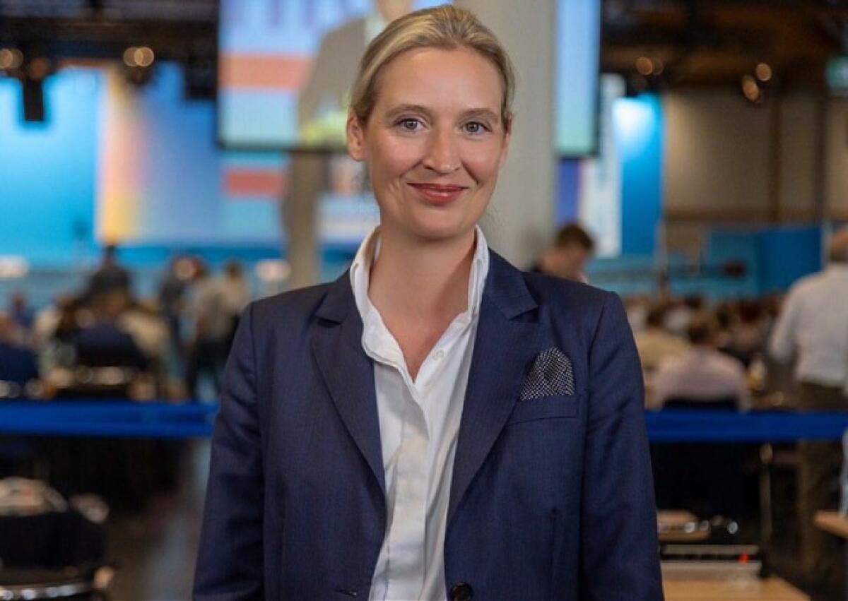 La Germania etichetta l’AfD come xenofobo | La democrazia è davvero in pericolo? - 