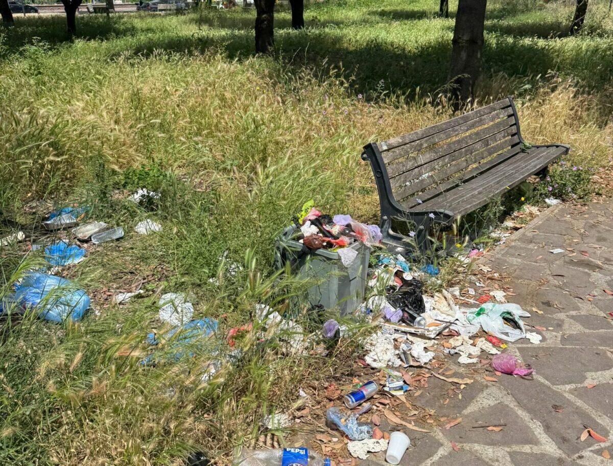 Verde pubblico a rischio | La verità che nessuno vuol dirti sulle aree verdi di Roma! -