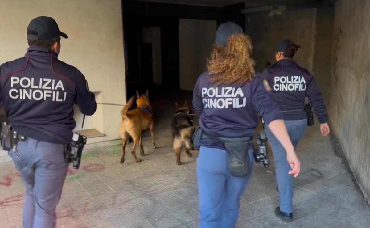 Catania: la Polizia scopre un laboratorio di droga grazie a un cane detective | Ecco cosa nascondeva il 54enne pregiudicato! -